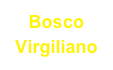 Bosco Virgiliano