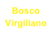Bosco Virgiliano